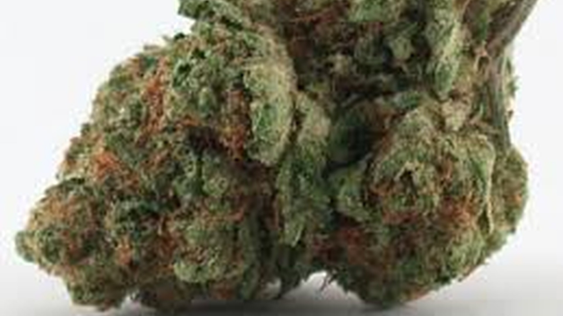 Pre-weighed $99.60 Ounce Plus Tax